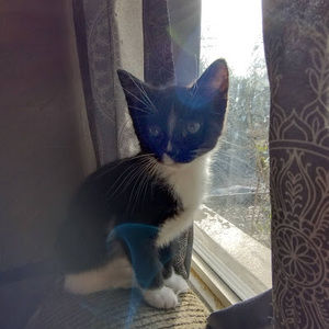 Meet your Posher, Braden